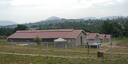 Completion of model pig farm construction